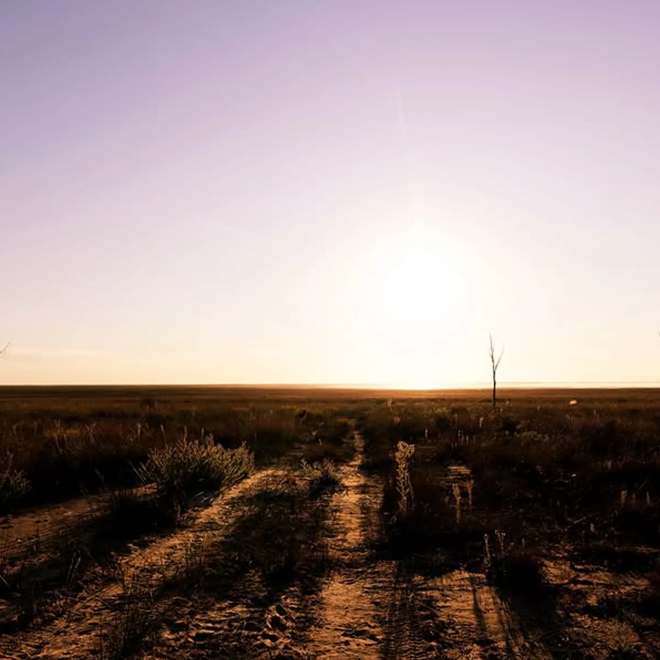 australian outback scene