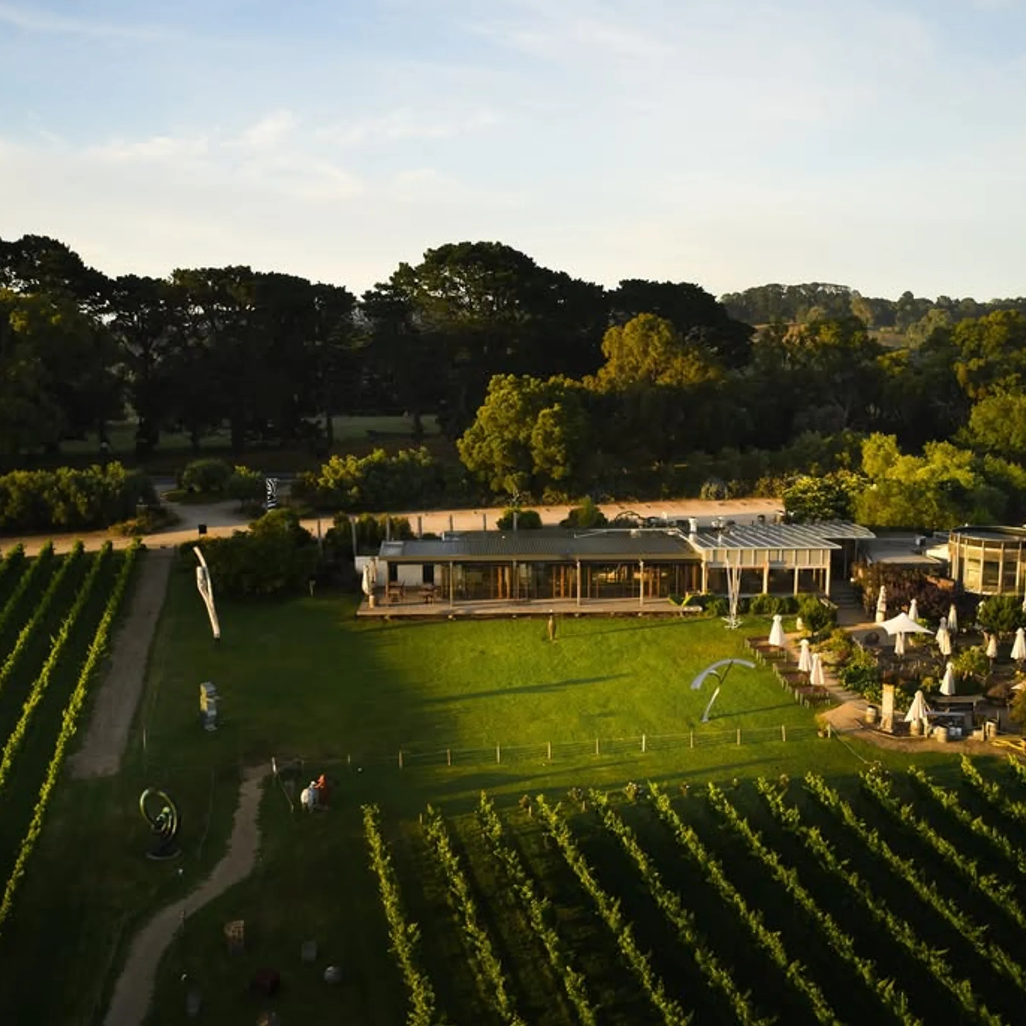 victorian winery and vineyard scene