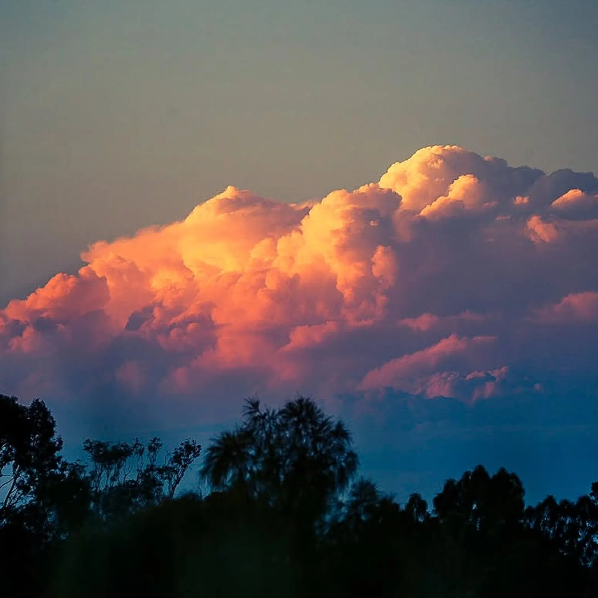 australian outback landscape