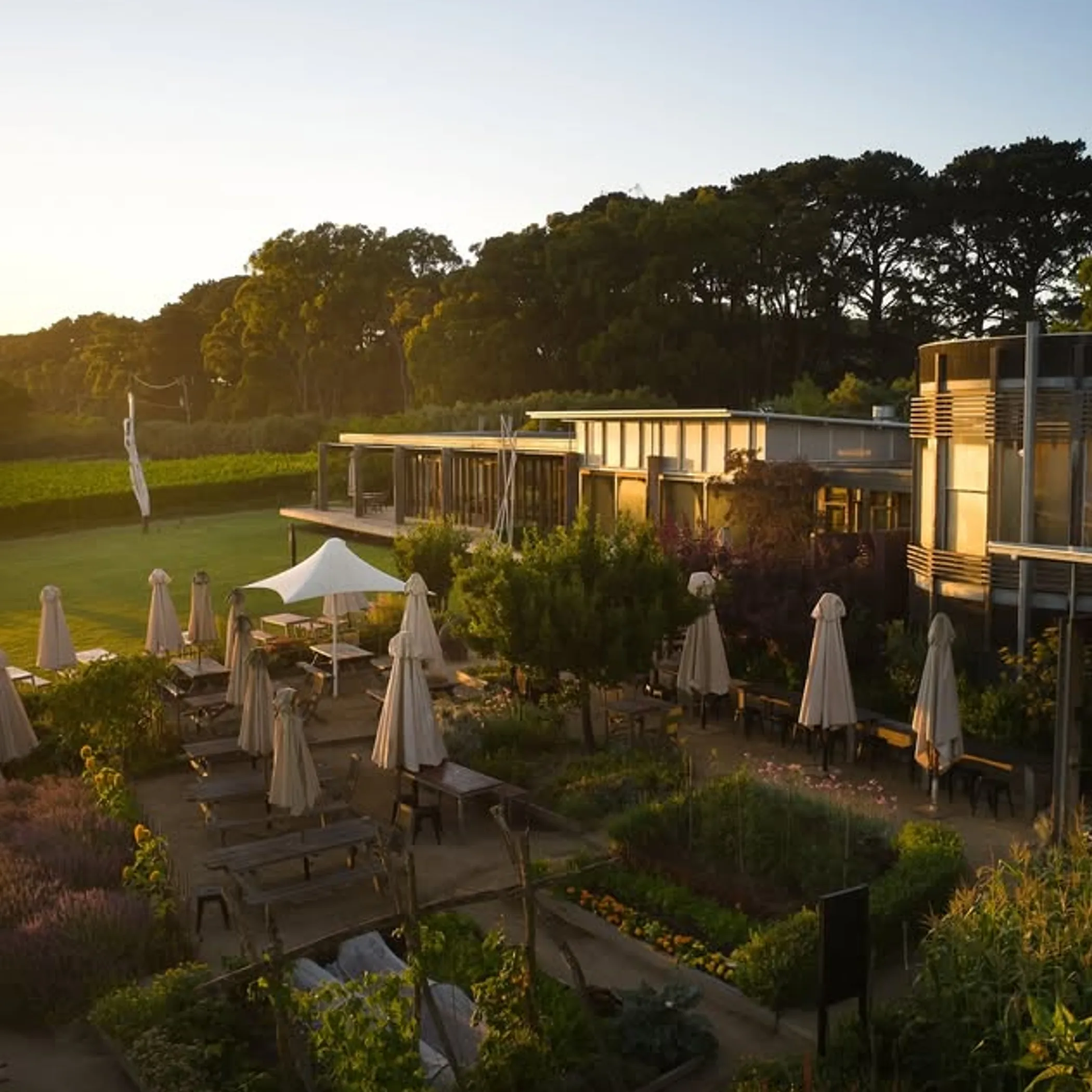 victorian winery with vines and dining